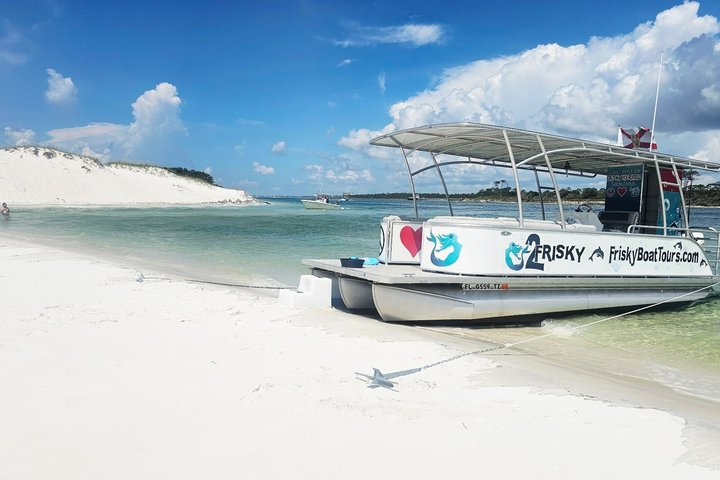 Pensacola Beach Dolphin Cruise + Beach Stop + Reef Snorkeling - Photo 1 of 12
